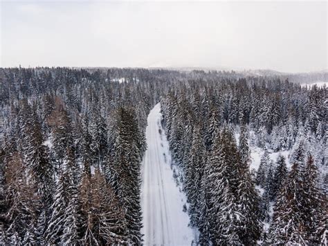 Premium Photo | Aerial view of winter forest covered in snow drone photography winter roadxdxa