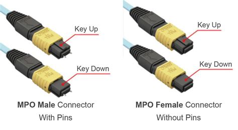 Guide to MPO/MTP | xSiCute