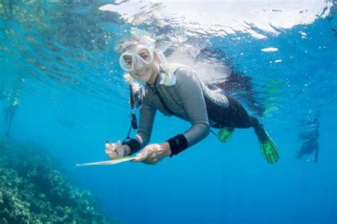 Gallery | Great Barrier Reef Conservation, Australia | WorkingAbroad