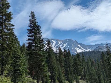 10 Best Hikes and Trails in Shasta-Trinity National Forest | AllTrails