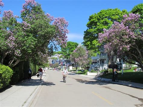 Mackinac Island Lilac Festival – June 7 – 16, 2024 - News Up North, Michigan