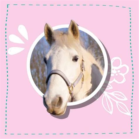 Meet This Esme | YouTube superstar | Pony Magazine