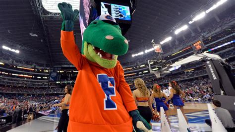 The Florida Gators mascot tried out to be a kicker on the football team ...