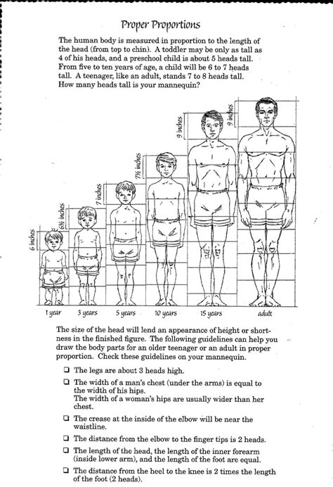 child to adult | Body proportion drawing, Body drawing, Human figure drawing