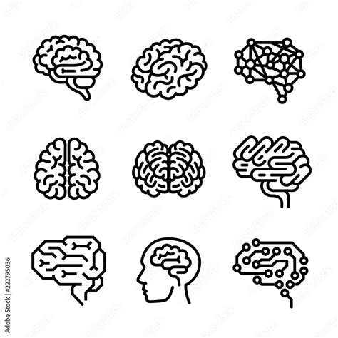 Brain icon set. Outline set of brain vector icons for web design isolated on white background ...