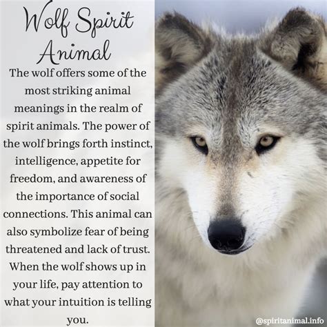 Pin by Gee Smith on Recovery | Wolf spirit animal, Spirit animal totem ...