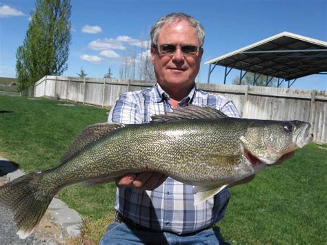 Top 10 Walleye Fishing Spots in Washington - Best Fishing in America