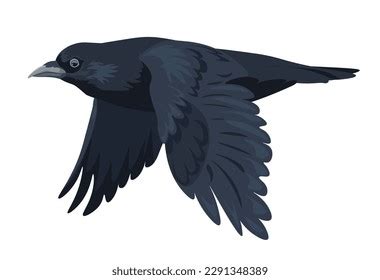 Flying Raven Spread Wings Isolated Large Stock Vector (Royalty Free ...