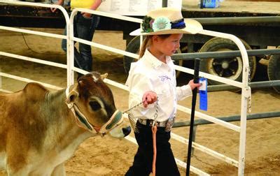 4-Hers show off beefy buddies at Bannock County Fair | Members ...