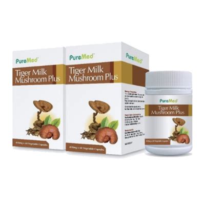 Tiger Milk Mushroom Malaysia Guide: Reviews And Prices