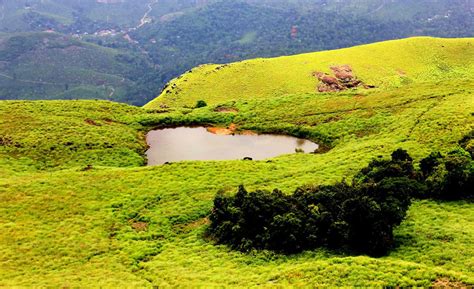 Chembra peak in Wayanad reopens for travellers - Tourism News Live