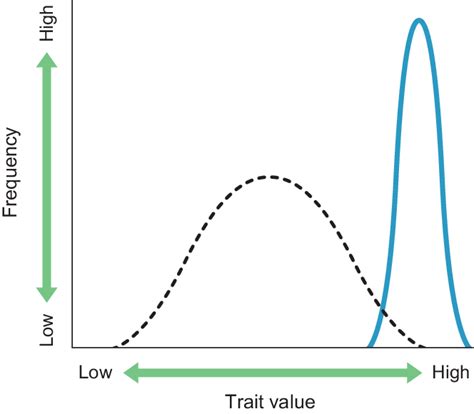 Phenotypic trait variation in generalist (dashed line) and extreme ...