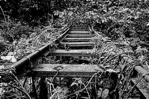 Railroad Railway Rails Abandoned - Free photo on Pixabay - Pixabay