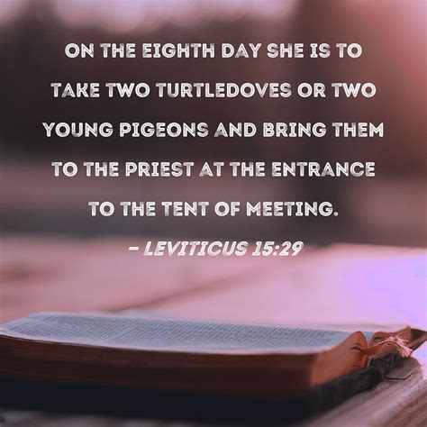 Leviticus 15:29 On the eighth day she is to take two turtledoves or two ...