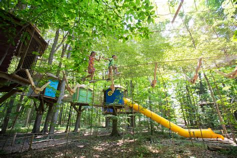 Treetop Trekking - Hamilton Halton Brant