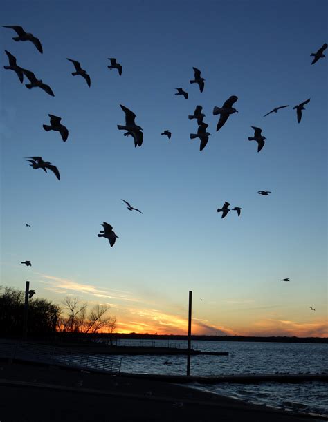 Lake Arlington sunset : r/pics