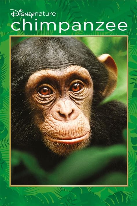 Chimpanzee (2012) — The Movie Database (TMDB)