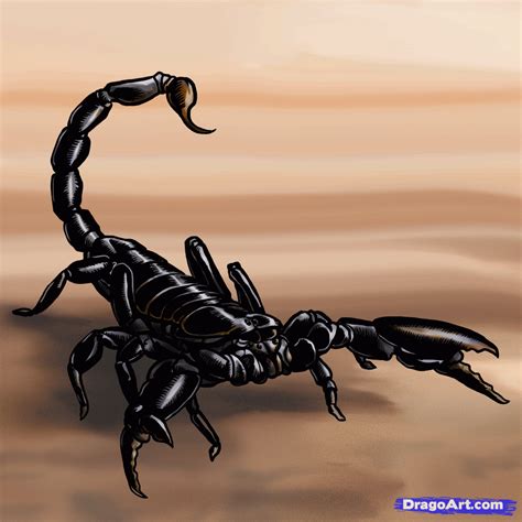 How to Draw Scorpions, Step by Step, Bugs, Animals, FREE Online Drawing ...