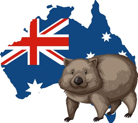 Wombat Australian Animal Cartoon 10518868 Vector Art at Vecteezy