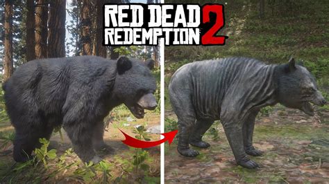 Exploring Red Dead Redemption 2 Details - 2023 Insane Details - YouTube