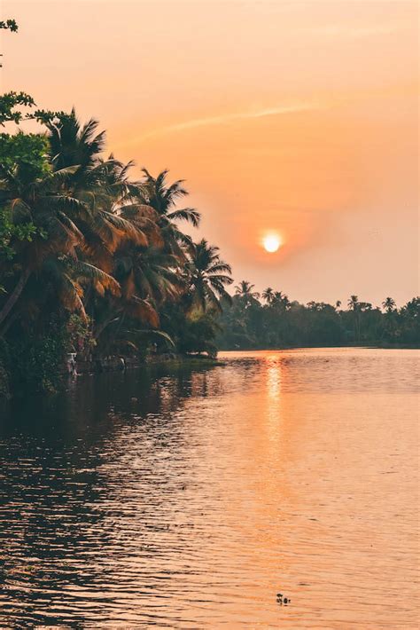 16 EPIC Things To Do In Kerala, India + BEST Places To Visit