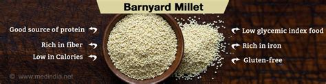 #BlogchatterA2Z- "B"- Barnyard Millet, A quick and healthy one pot meal! - Welcome to Surbhi's ...