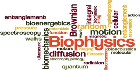 Biophysics - Assignment Point