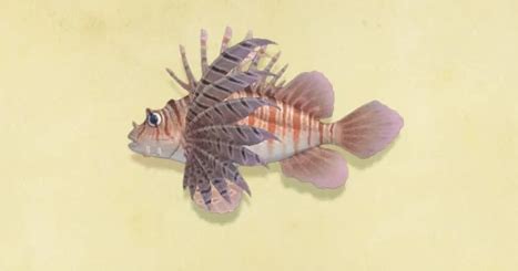 Zebra turkeyfish | Animal Crossing Wiki | Fandom