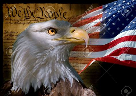 Bald Eagle American Flag Photos | Best HD Wallpapers