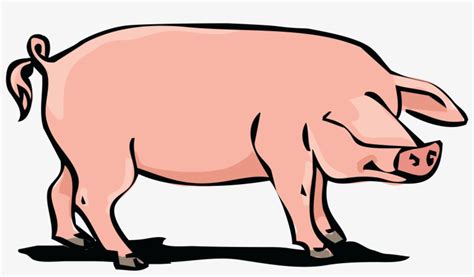 Clipart Pork Png Transparent PNG - 4000x4000 - Free Download on NicePNG