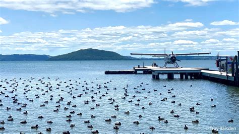 Lake Rotorua (Rotorua) – Lakes 380