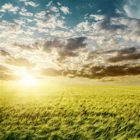 Sunset over green field stock photo. Image of nonurban - 35203300