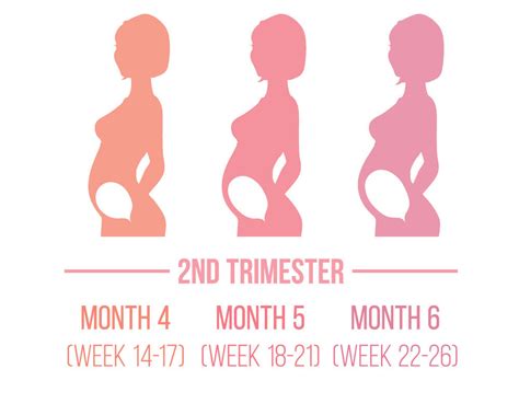 Surviving the Second Trimester | Pregnancy Tips | Me Becoming Mum