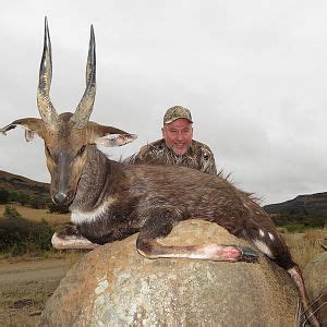 Bushbuck Hunting in Namibia | AfricaHunting.com