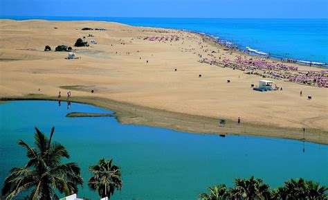 Charca de Maspalomas | Island travel, San bartolome, Maspalomas