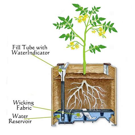 Self-Watering Planter Boxes — Ecodesign