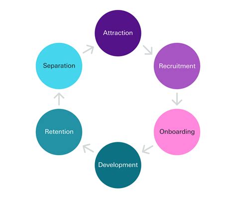 How Can We Visualize the Employee Lifecycle? - Orgnostic