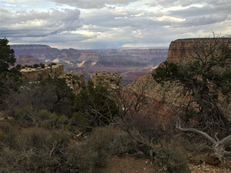 Kaibab National Forest - Tales from the Desert Kaibab National Forest, Hiking