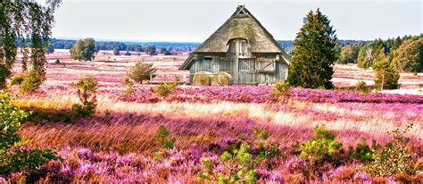 Lüneburger Heide | Bauernhofurlaub.de