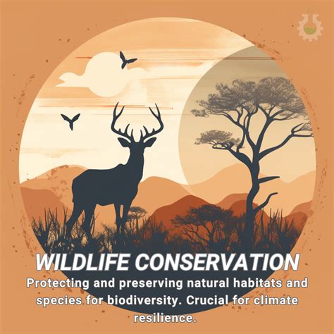 Climate Change Poster Collection of the Day – Wildlife Conservation - Science4Data