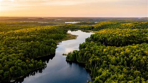 Ecosistemas saludables | Educando a los líderes climáticos - The Carbon Institute