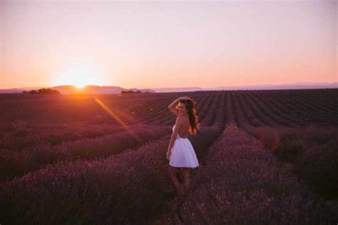 The Londoner » Lavender Sunset in Provence