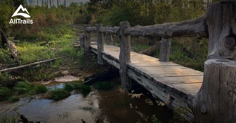 Best hikes and trails in Bastrop State Park | AllTrails