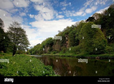 Creswell Crags Lake, Ice Age Caves in Spring Green Woodland, Worksop ...