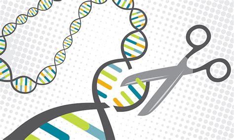 New Technique Enables Safer Gene-Editing Therapy Using CRISPR - UT News