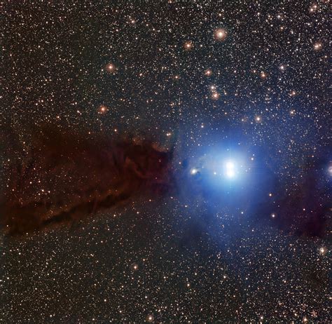 Dark Nebula Hides Star Birth - Universe Today