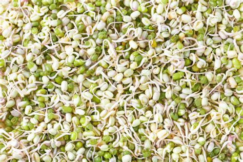 What is the Nutritional Value of Green Gram Sprouts per 100g and Is ...