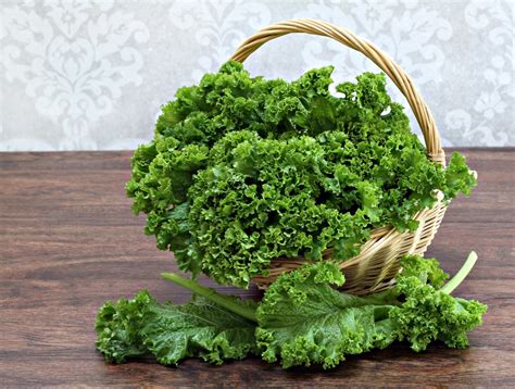 Harvesting Kale » Top Tips on When It's Picking Time