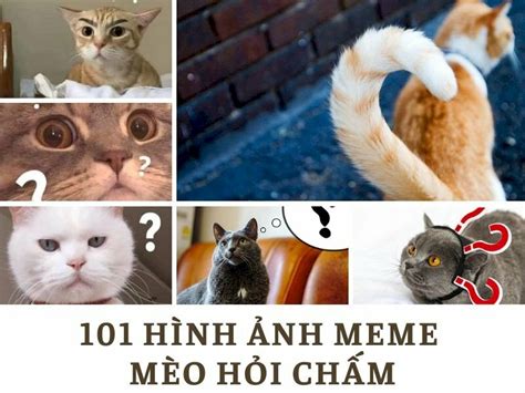 Tải Ảnh Meme Miễn Phí độc đáo - Nhanh Nhất và Dễ Dàng! Click để Tải Ngay!