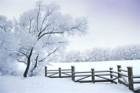 A peaceful winter scene | Winter landscape, Winter wallpaper, Winter scenes